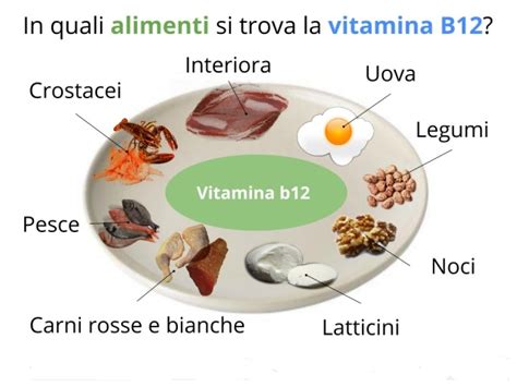 Revisione Della Gamma Di Vitamina B12